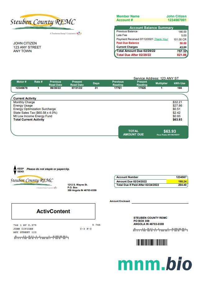 Szablon rachunku za media USA Steuben Country REMC w formacie Word i PDF